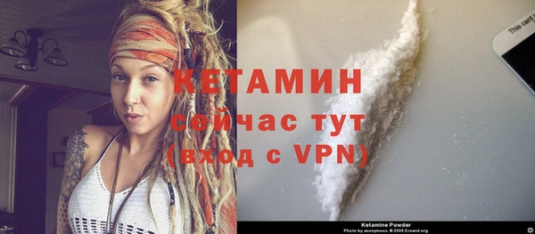 гидра Карпинск