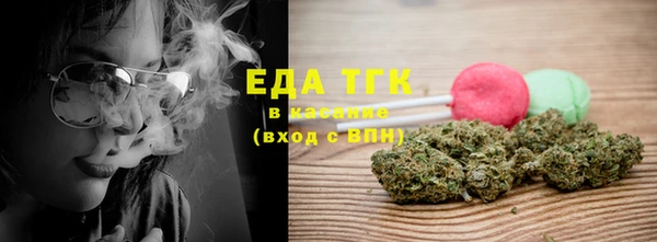 гидра Карпинск