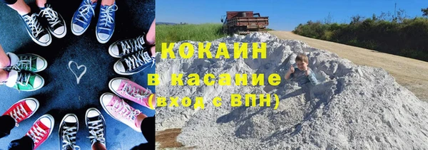 гидра Карпинск