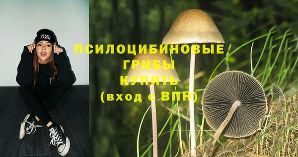 меф Касимов