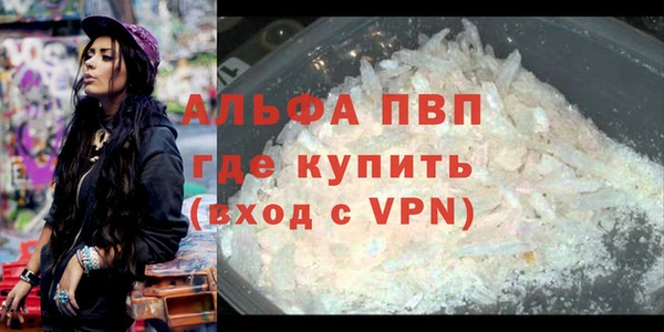 гидра Карпинск