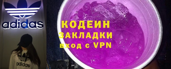 гидра Карпинск