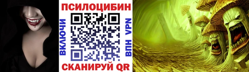 Псилоцибиновые грибы Cubensis  Купить закладки  Болохово 